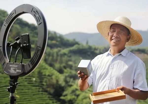 非遺傳承人孫壯志：年產(chǎn)超萬斤，讓桐城小花香譽(yù)全國